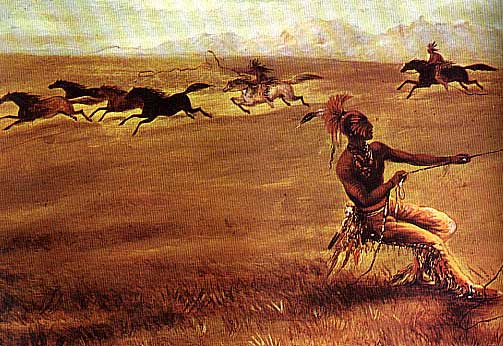 comanche horse