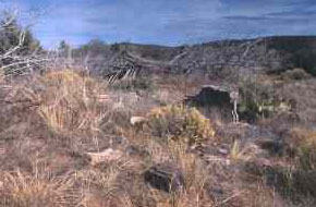 Picture of Remains at Camp Hualpai
