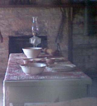 Dougle Log Cabin Picture
