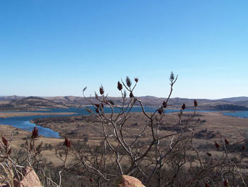 Picture of Mount Scott
