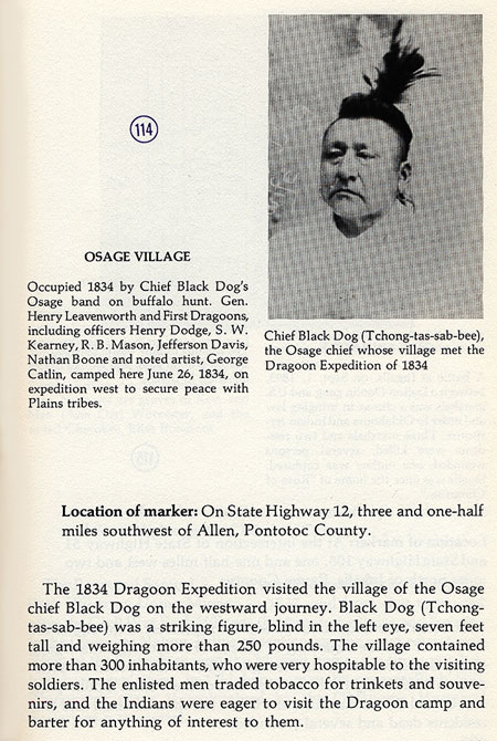 Chief Black Dog Picture