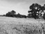 Picture of Fort Reading Site
